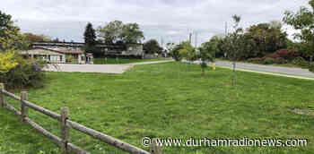 Pickering looking for feedback on upcoming skate spot - durhamradionews.com