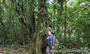 North Durham Nature to explore Brazil rainforest - durhamregion.com