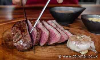 Lab-grown meat requires the blood of foetal cows, study shows