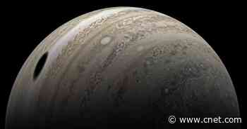 Just Look at This Achingly Beautiful View of Jupiter and a Moon Shadow     - CNET