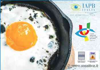 IAPB Basilicata: screening gratuiti a Matera e Potenza per la settimana mondiale del glaucoma - Sassilive.it