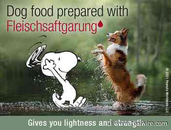 German dog food is prepared differently - Now also available in UK - RealWire