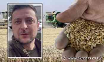 Ukraine war sparks UK food shortage fears for millions- key ingredients banned from export - Express