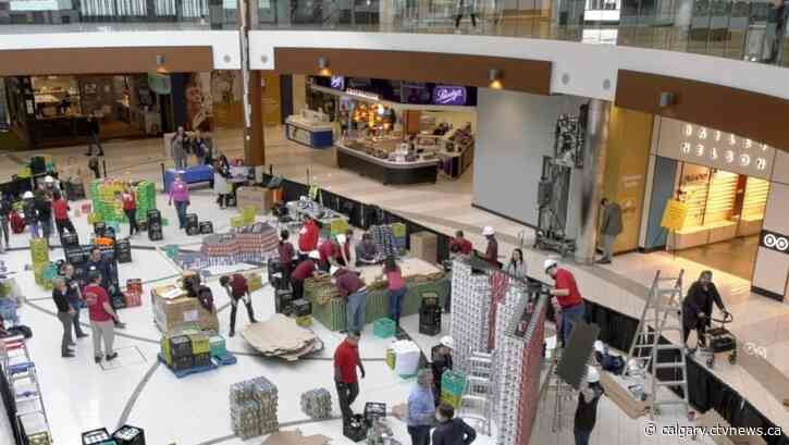 Southcentre Mall under 'canstruction': 30,000 cans of food used to for art installations