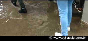 VÍDEO: Escola em Cotia alaga, e alunos são colocados em piso superior da unidade - Cotia e Cia