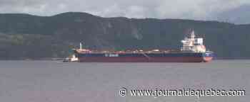 Un projet pilote pour évaluer les impacts des activités maritimes