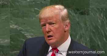 German Delegation Laughed at Trump When He Warned Them About Russia, But Not a Single One of Them Is Laughing Now
