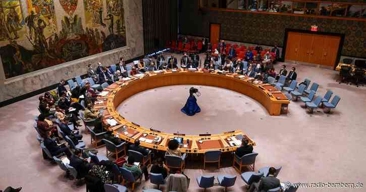 Russland will Sitzung von UN-Sicherheitsrat wegen Biowaffen