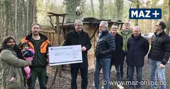 Kyritzer Rotarier unterstützen den Bau einer Freiflugvoliere in der Sieversdorfer Wildtierschule Harsch - Märkische Allgemeine Zeitung