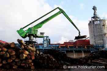 Bau- statt Brennholz - Holzkurier