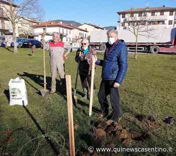 Altre piante di vecchie cultivar nell'orto urbano - Qui News Casentino