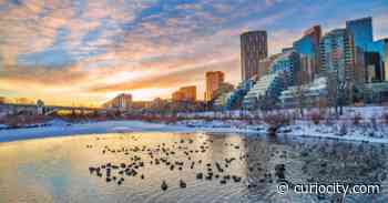 10 of the best things to do in Calgary this weekend (March 11-13) - Curiocity