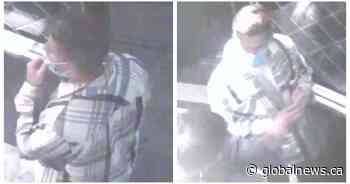 Calgary police look to speak to possible witness in connection with October assault - Global News