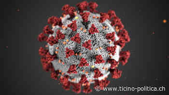 La Confederazione stipula un contratto per l’approvvigionamento di medicamenti in grado di prevenire la COVID-19 - TICINO POLITICA