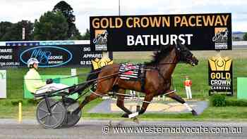 Captn Me starts a four-win night at Bathurst Paceway for Jack Trainor - Western Advocate