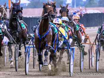 Leading NSW breeders back Bathurst sale - Harnesslink