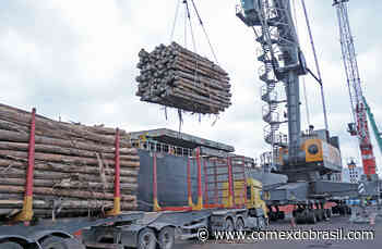 Porto de Imbituba realiza maior embarque de madeiras do país. São 58 mil toneladas com destino à China - Comex do Brasil