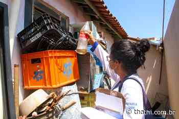 Birigui promove mutirão em 13 bairros para combater o mosquito Aedes aegypti - Portal Thathi