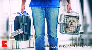 #UkraineTurmoil: Pet transport services register an uptick across globe - Times of India