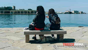 Bole, Marta e Adel: tre bellissimi cuccioli che cercano famiglia a Trieste - TriestePrima