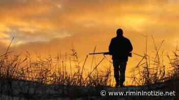 Santarcangelo di Romagna. I Carabinieri Forestali sequestrano 2.550 cartucce a cacciatore - RiminiNotizie.net - rimininotizie.net