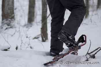 11+ ideas for fun this week: Smiths Falls shopping, Ottawa film fest, Kemptville snowshoeing - Ottawa Road Trips