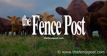 Lucky 7 Angus Cowboy Bulls!!! Annual Production Sale - The Fence Post