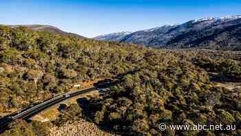 Helicopter crashes near Snowy Mountains dam with five on board