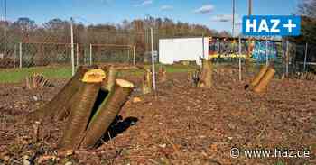 Hemmingen-Westerfeld: Bäume an Hohe Bünte gefällt und Büsche beschnitten - HAZ