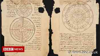 Timbuktu manuscripts: Mali's ancient documents captured online