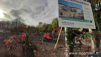 Orly : le chantier immobilier au Bois-Grignon « suspendu » le temps des recours - Le Parisien