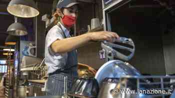 Lavapiatti che aiuti in cucina a Torrita di Siena Barista per colazioni in agriturismo a Trequanda - LA NAZIONE