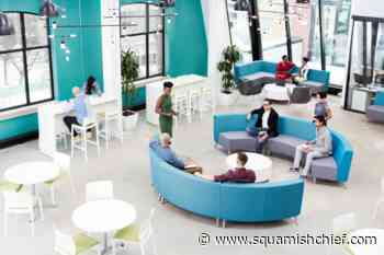 How to prep for a back-to-office migration - Squamish Chief