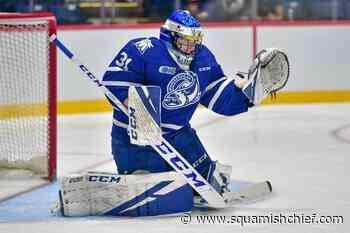 Mississauga Steelheads goalies dominant thanks to defensive structure, cohesion - Squamish Chief