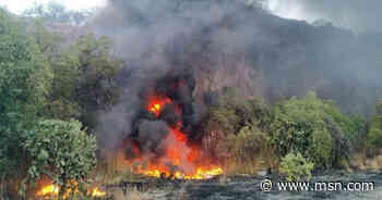 Reportan incendio de pastizales en Colinas de San José, Tlalnepantla - MSN