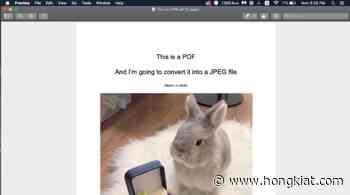 How to Covert PDF to Image Formats on Mac