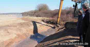 Bamberg: Amphibienraum statt Asphaltwüste - Bürgermeister lobt Zusammenarbeit mit Brose - inFranken.de
