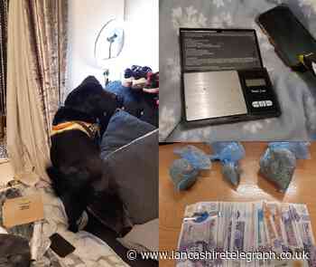 34-year-old woman in custody after suspected drugs found in house