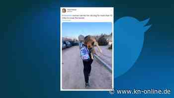 Flucht aus der Ukraine: Schäferhund wird 15 Kilometern auf Schultern bis an die Grenze getragen