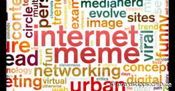 Nyan Cat: Die Geschichte hinter dem Internet Hit - praxistipps.chip.de