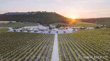 Der Winzer Gérard Bertrand will alle seine Weine biodynamisch produzieren - BLICK