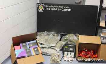 Oakville man, 31, arrested in 'high-level cannabis trafficking' investigation that sees $250000 worth of drugs seized - InsideHalton.com