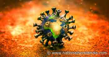 Omicron stealth variant' still at high level, UK study finds - National Herald