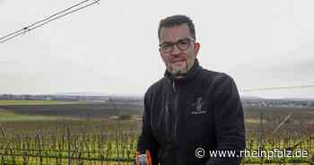Unkomplizierte Weine ohne Opulenz - Rheinpfalz.de