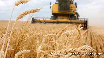 Wie es um die Ernährungssicherheit steht: Ausfall der Ukraine als Getreide-Exporteur trifft Afrika hart