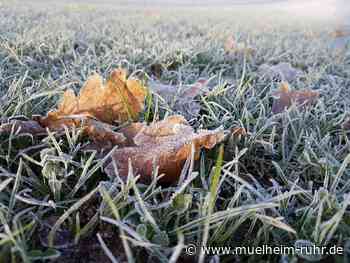Weiterhin Nachtfröste erwartet: