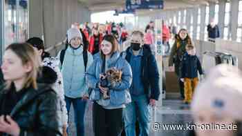 Hunde dürfen nicht in Flüchtlingsunterkünfte: Sorge vor Überfüllung der Tierheime
