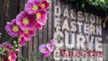 Dalston Women's Fayre to celebrate inspirational women - Hackney Gazette