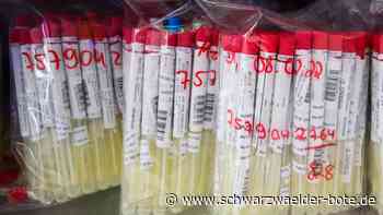 Corona im Zollernalbkreis - 906 weitere Infektionen am Donnerstag - Schwarzwälder Bote