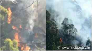 Forest fire erupts near Kodaikanal hills in Tamil Nadu | VIDEO - India Today